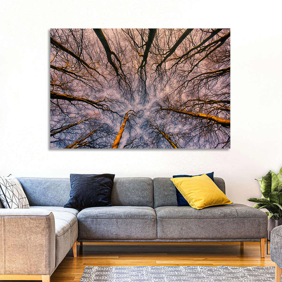 Misty Forest Canopy Wall Art in a room, landscape