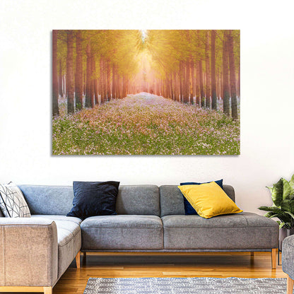 Golden Morning Forest Path Wall Art
