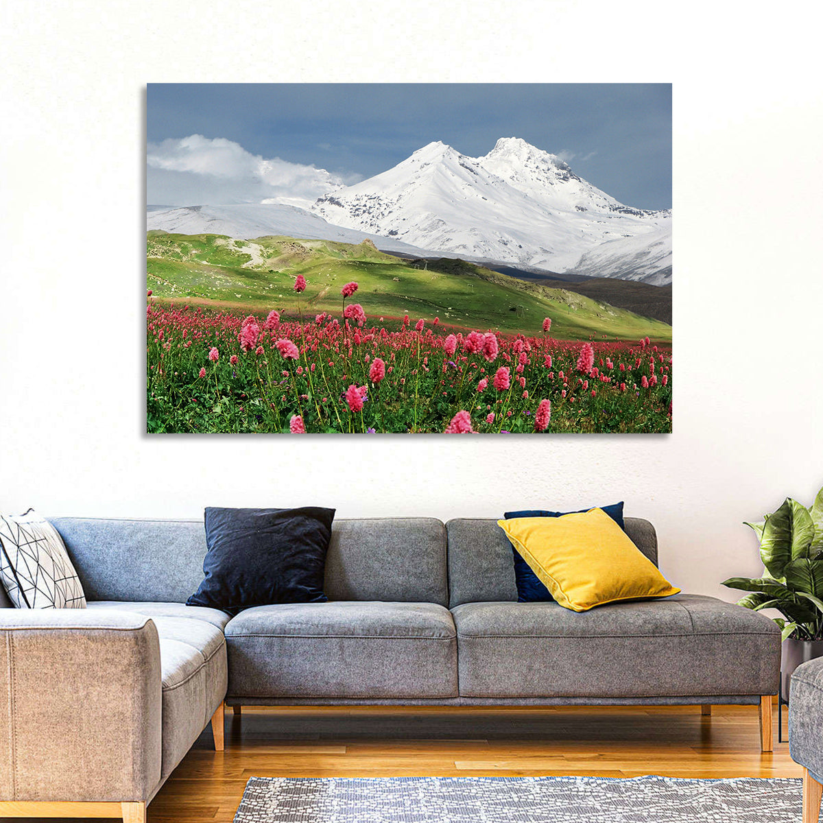 Caucasus Spring Wildflower Meadow Wall Art in a room, landscape