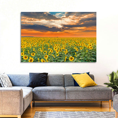 Golden Hour Sunflower Field Wall Art