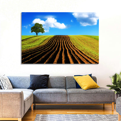 Plowed Field with Lone Tree Wall Art