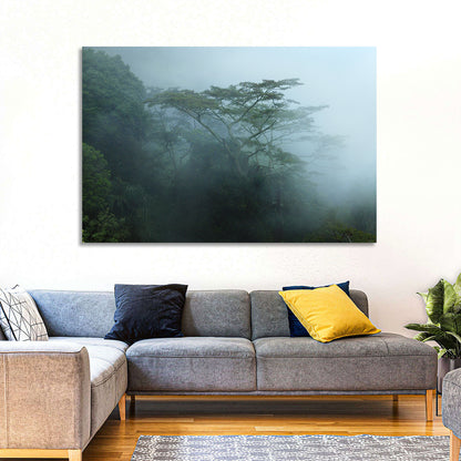 Misty Rainforest Canopy Wall Art