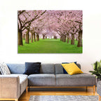 Cherry Blossom Avenue Wall Art