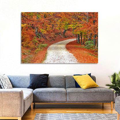 Misty Gravel Path Through Autumn Trees Wall Art