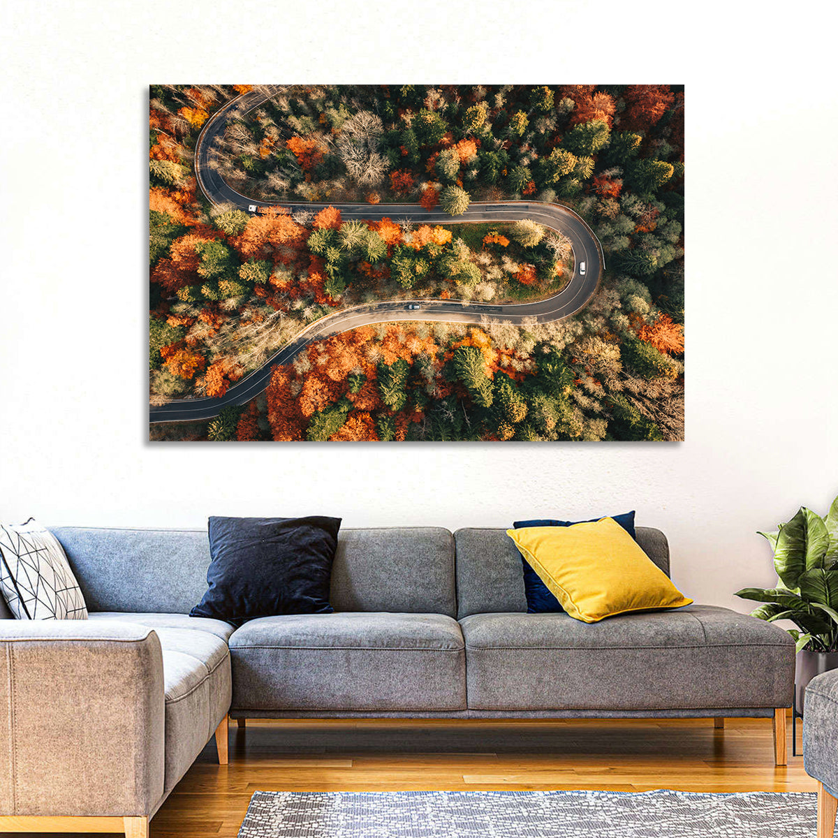 Aerial Winding Autumn Forest Road Wall Art in a room, landscape