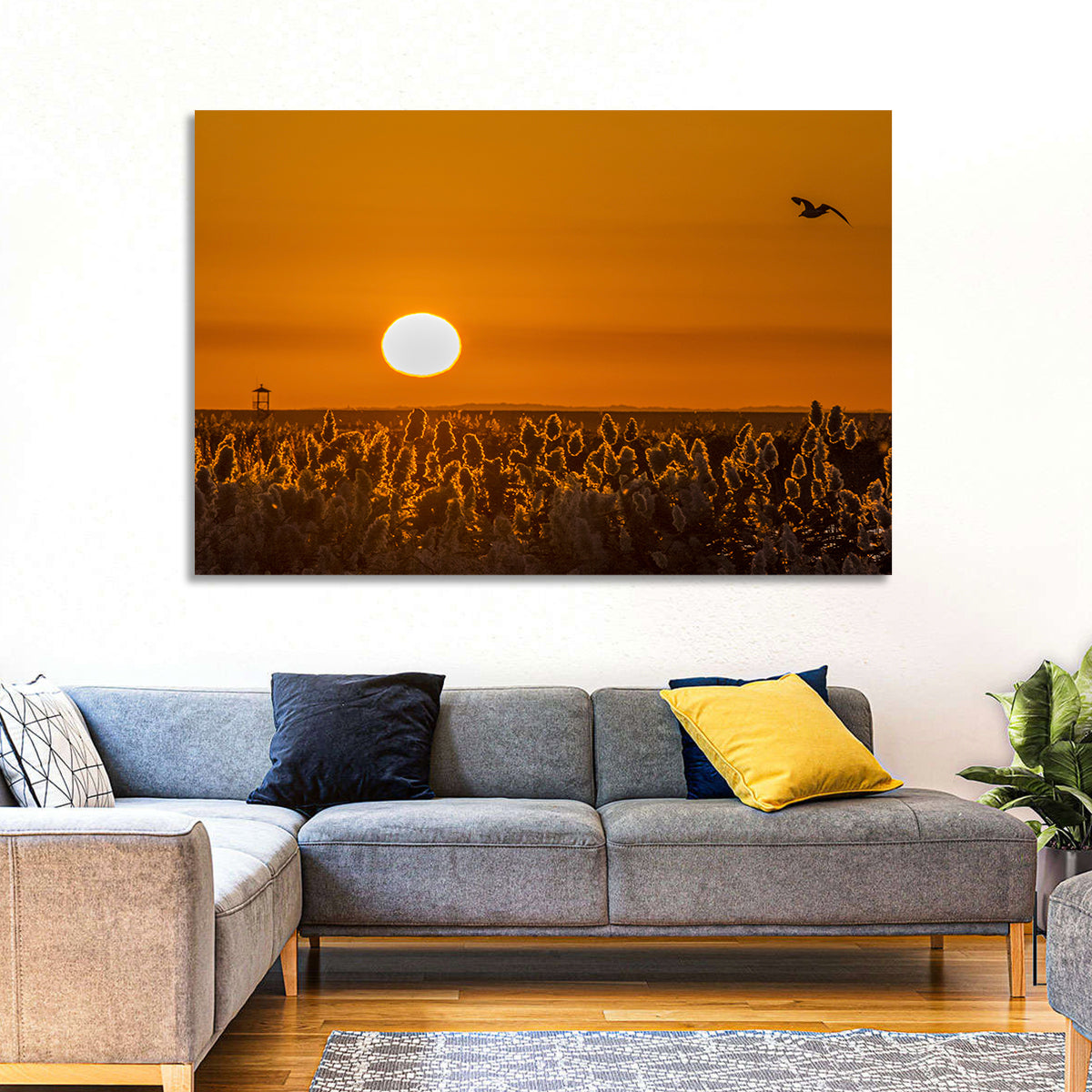 Golden Sunrise Over Reeds Wall Art in a room, landscape