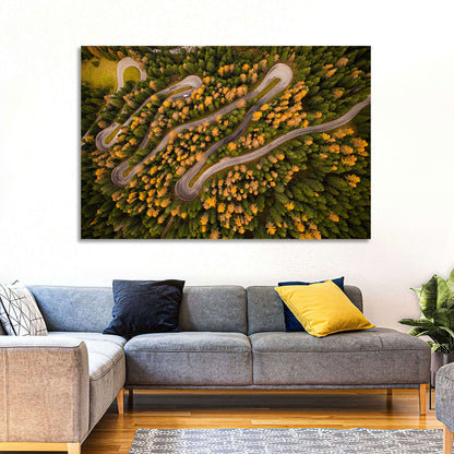 Aerial Curvy Forest Road Wall Art