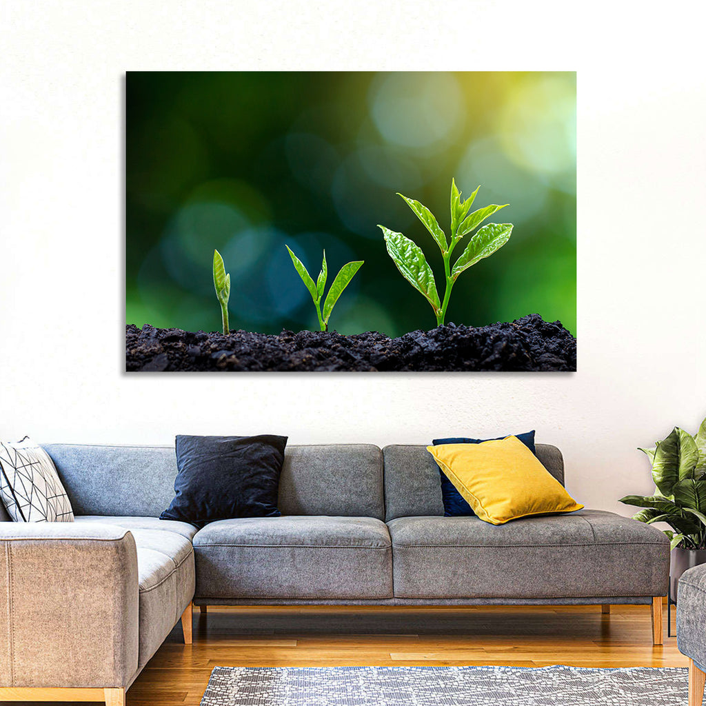 Seedling Growth Stages Wall Art