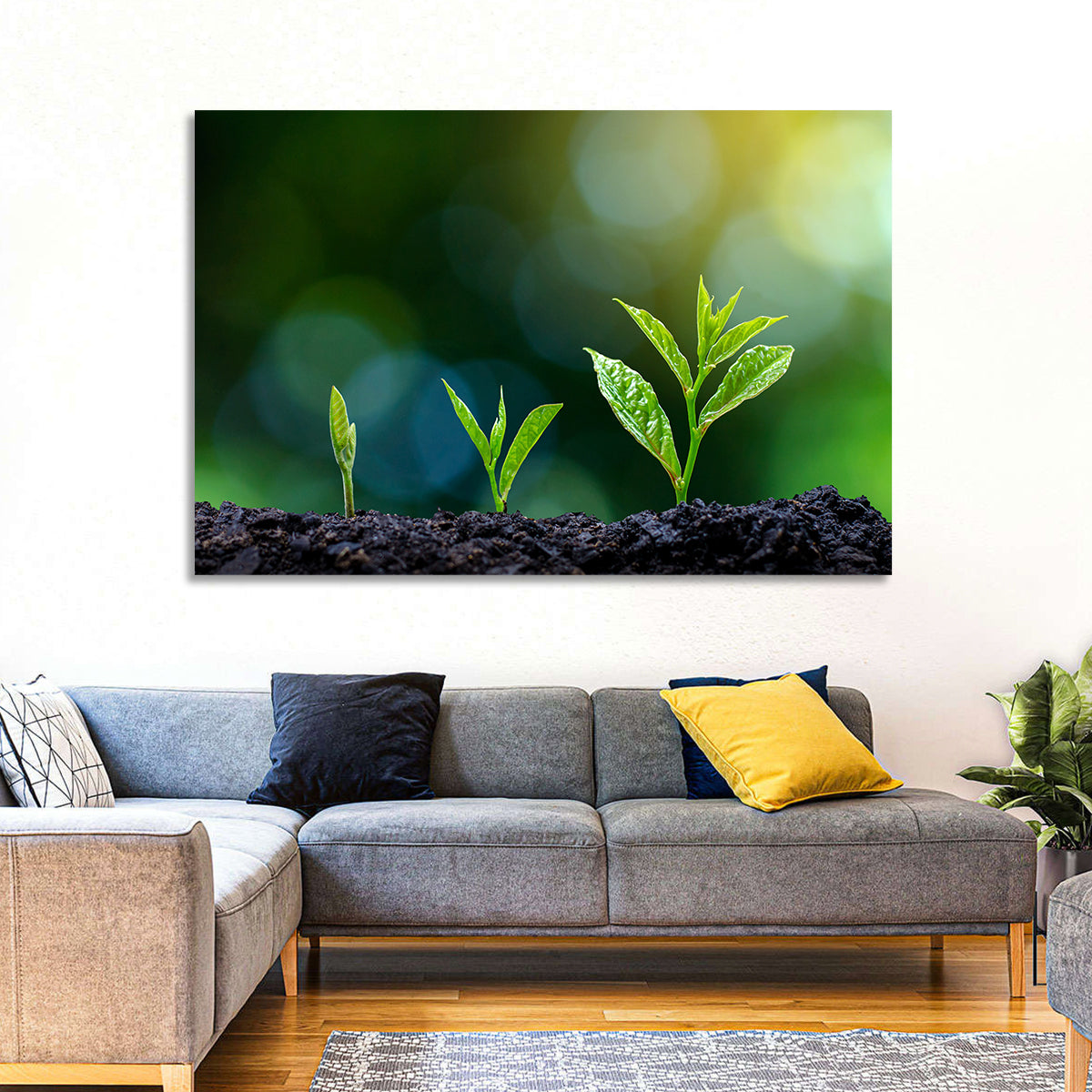 Seedling Growth Stages Wall Art in a room, landscape