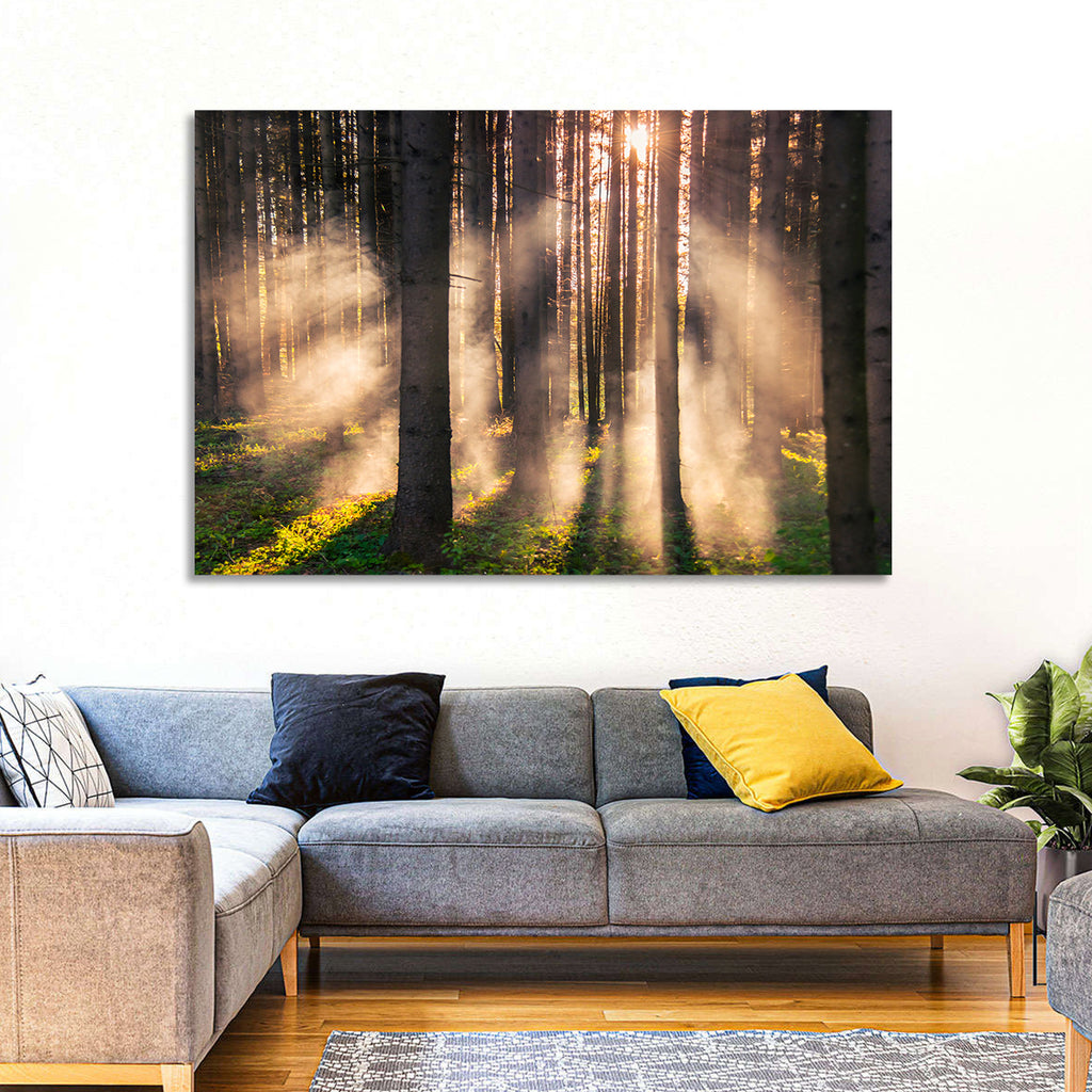 Sunrise Through Misty Forest Wall Art