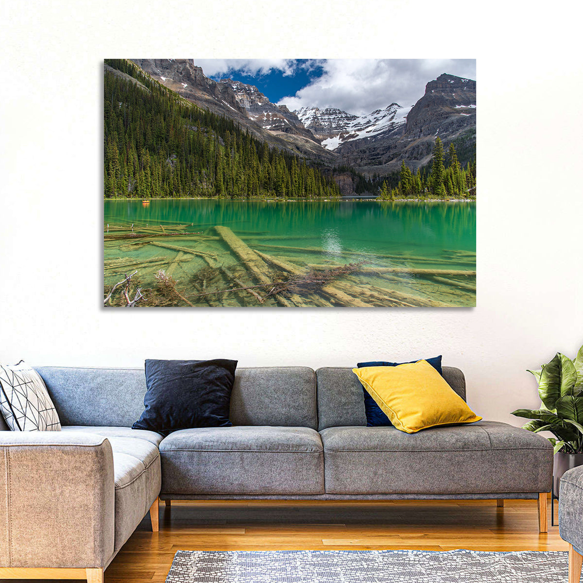 Lake O'hara Reflection Wall Art