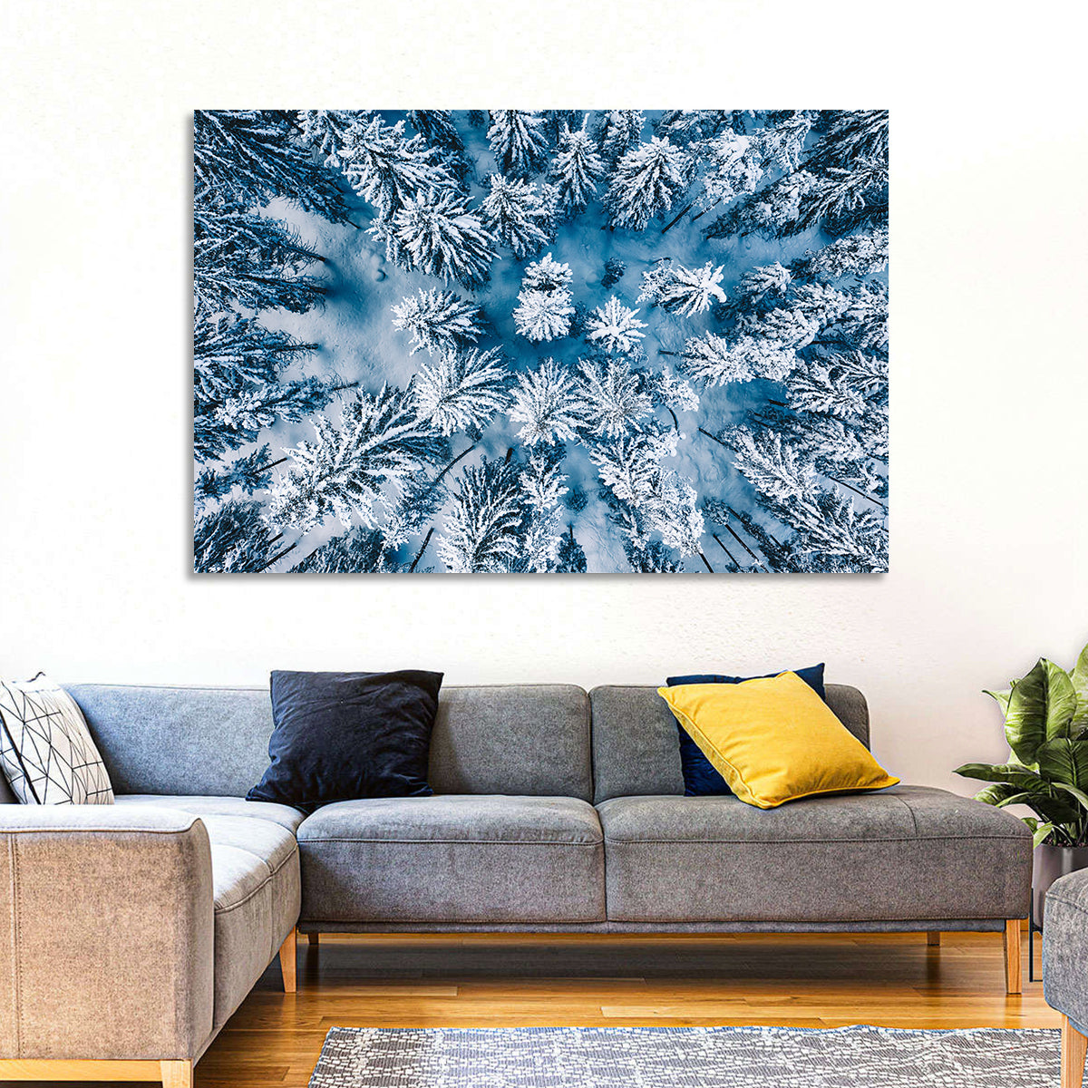 Aerial Snowy Evergreen Canopy Wall Art