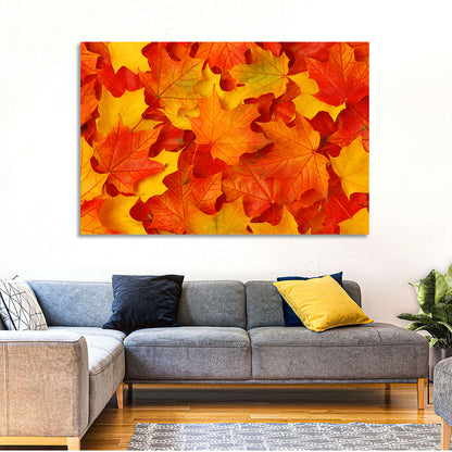 Autumn Maple Leaves Wall Art