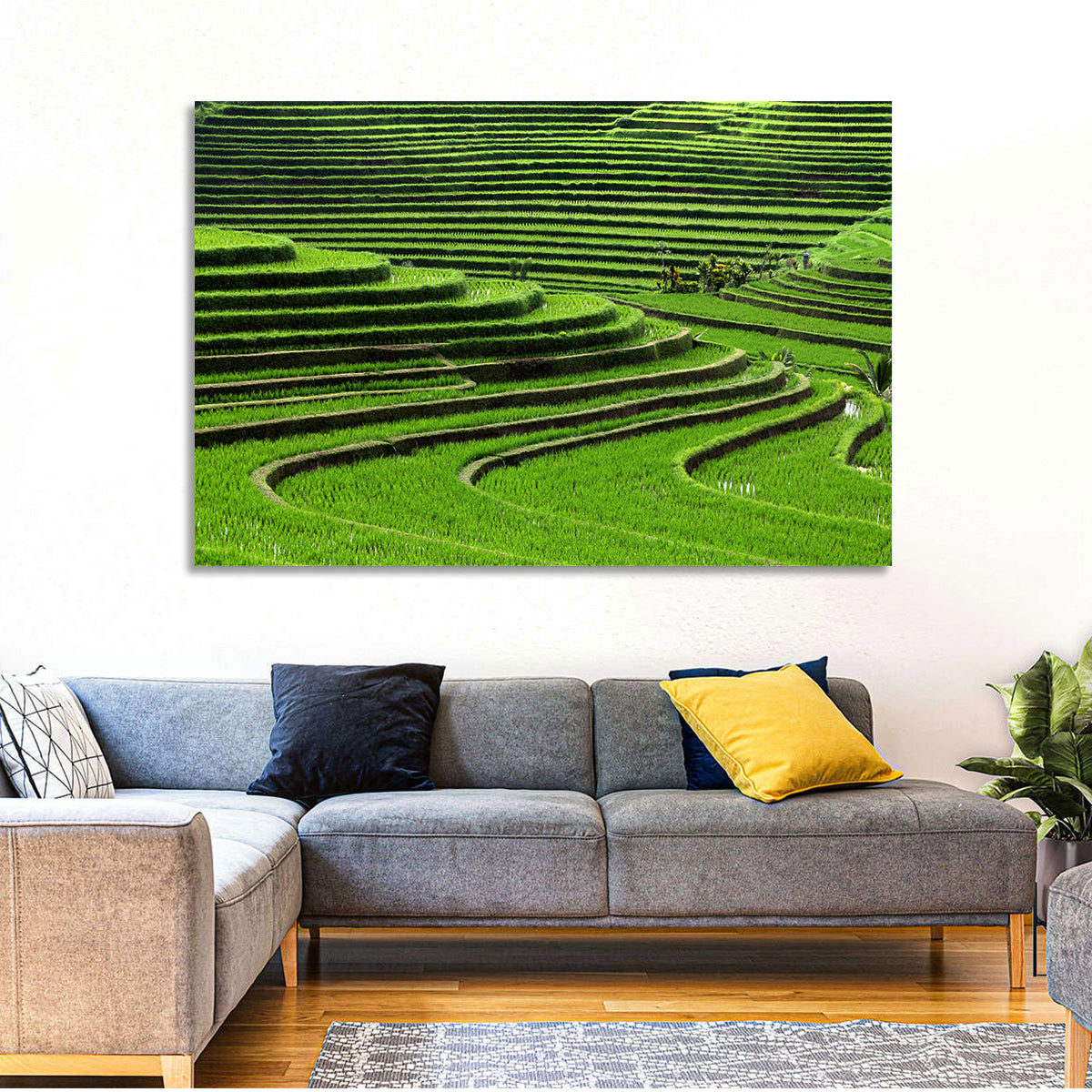 Lush Rice Terraces Wall Art in a room, landscape