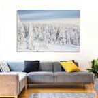 Snowy Forest Railway Tracks Wall Art
