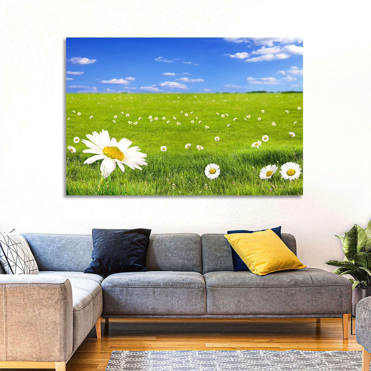 Spring Daisy Meadow Wall Art