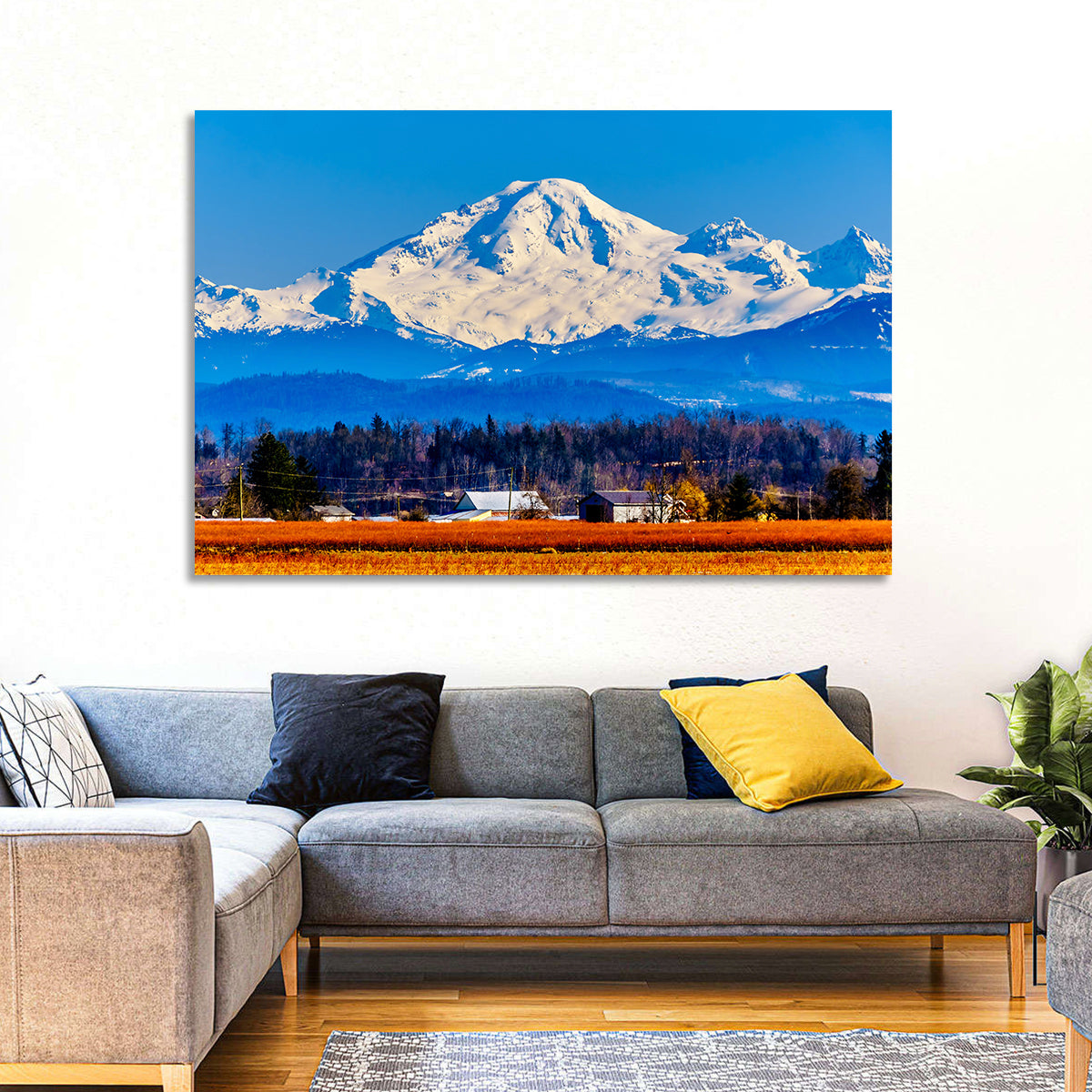 Mount Baker Fields Wall Art