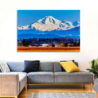 Mount Baker Fields Wall Art