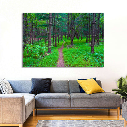 Lush Virginia Forest Trail Wall Art