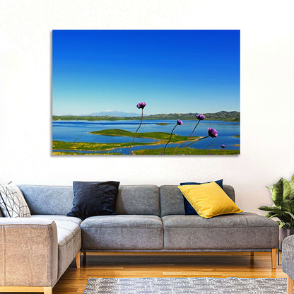 Lake Mathews Wildflower View Wall Art