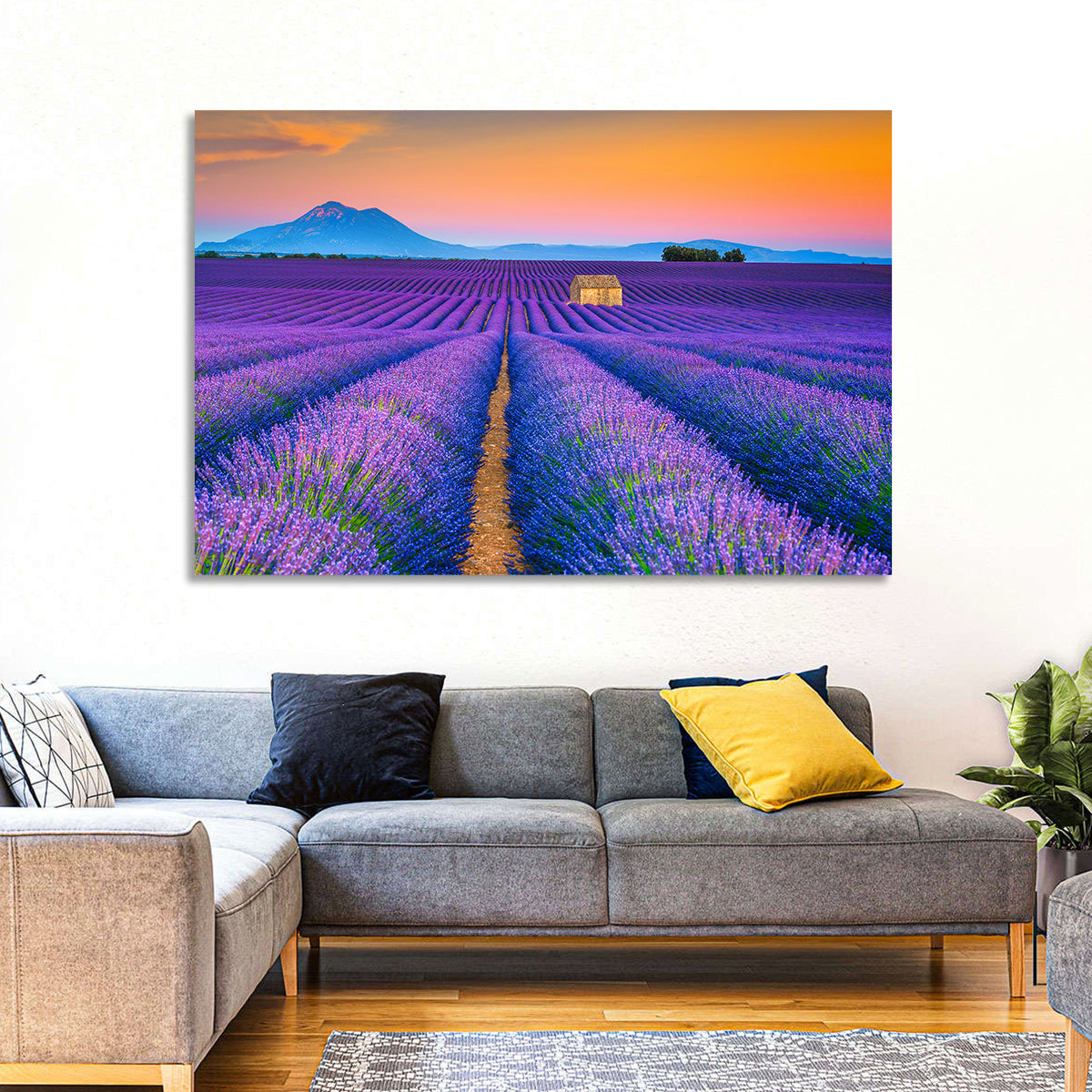 Valensole Lavender Fields at Sunset Wall Art in a room, landscape