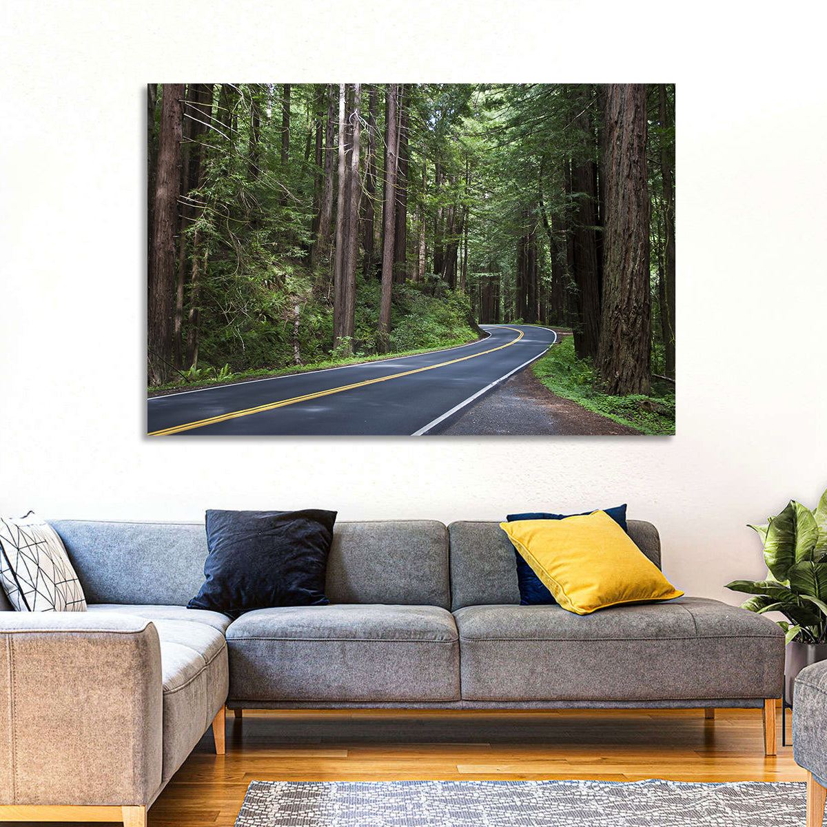 Winding Redwood Forest Road Wall Art