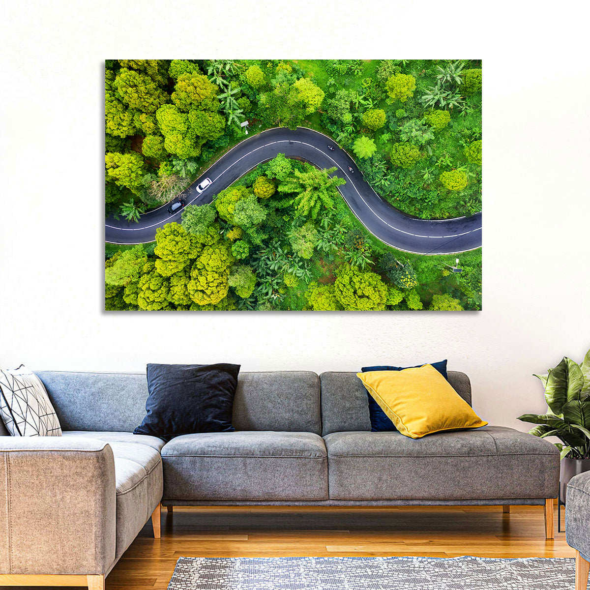 Winding Tropical Forest Road Wall Art in a room, landscape