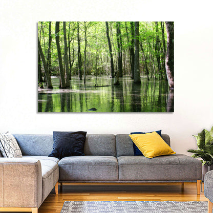 Sunlit Swamp Forest Wall Art