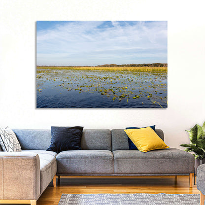 Lake Toho Lily Pads Wall Art