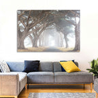 Misty Cypress Tunnel Wall Art