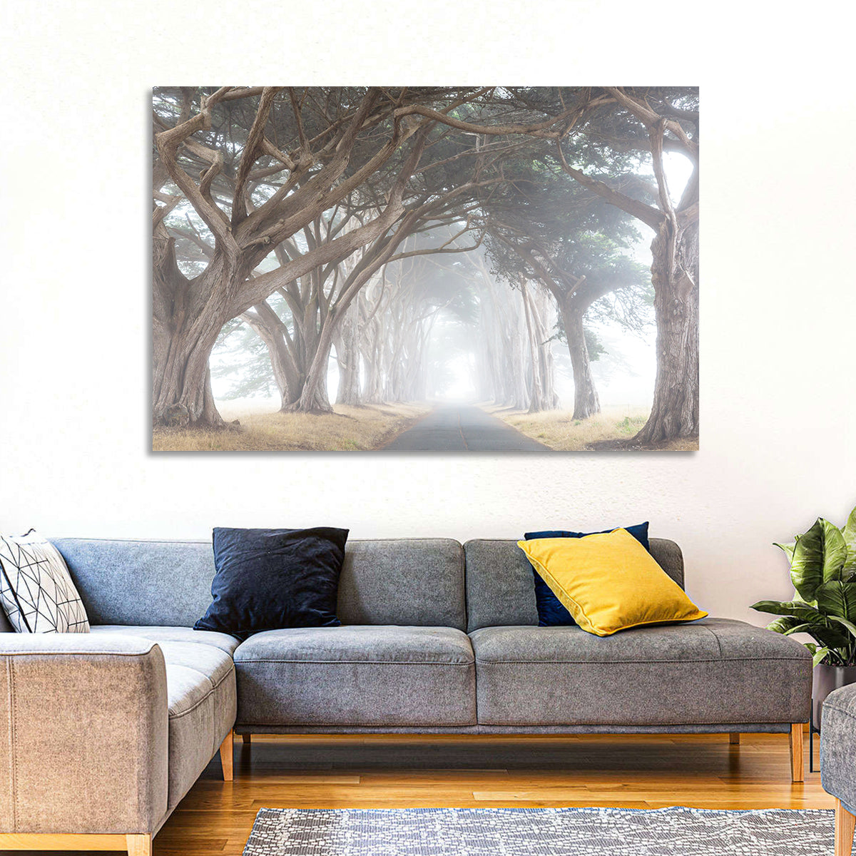 Misty Cypress Tunnel Wall Art