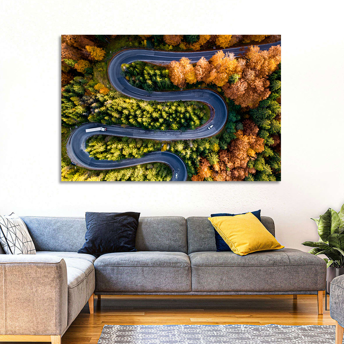 Serpentine Forest Road Wall Art