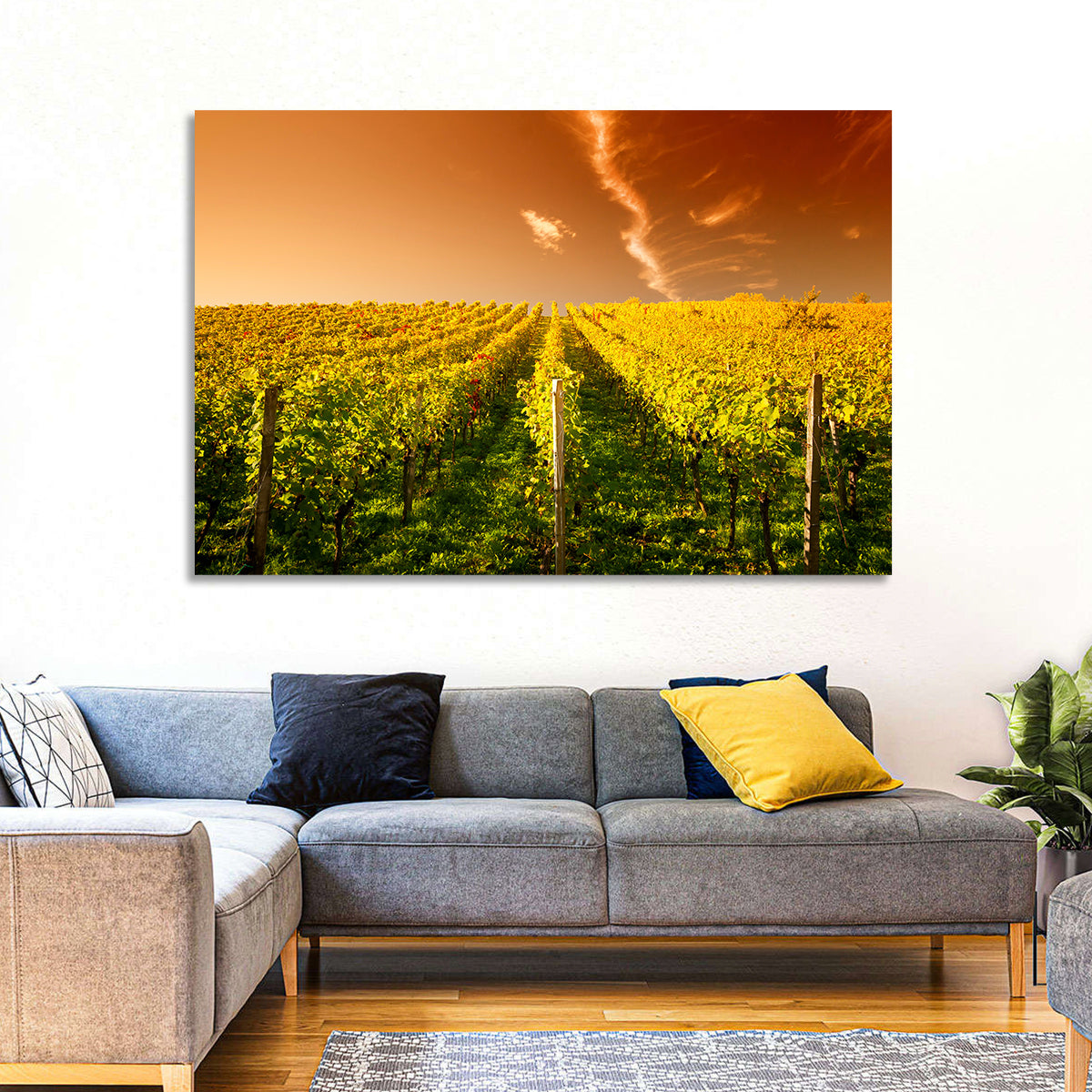 Golden Vineyard Sunset Wall Art in a room, landscape