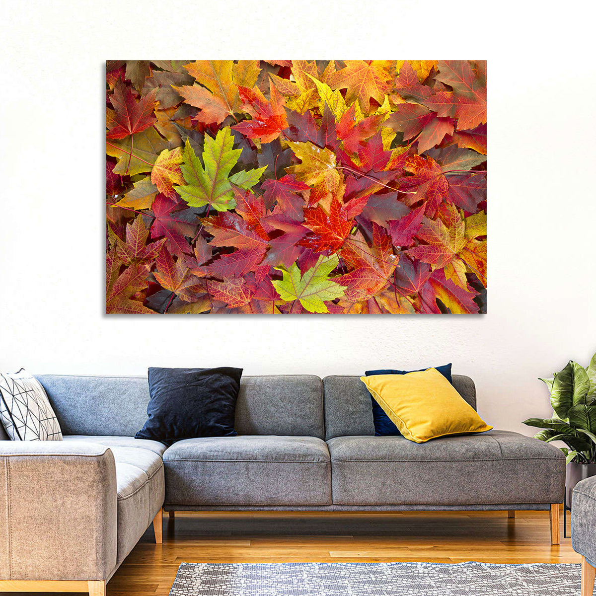 Autumn Maple Leaves Close-up Wall Art in a room, landscape