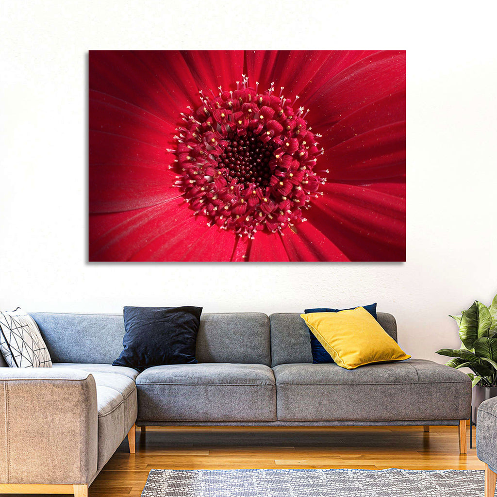 Red Gerbera Daisy Macro Close Up Wall Art