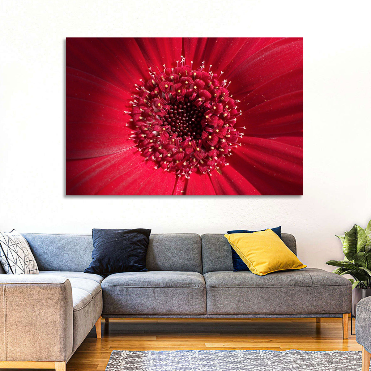 Red Gerbera Daisy Macro Close Up Wall Art in a room, landscape