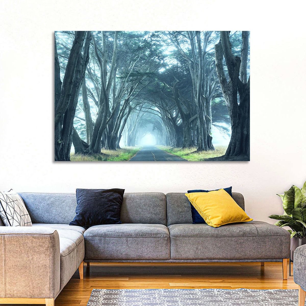 Foggy Cypress Tree Tunnel Wall Art