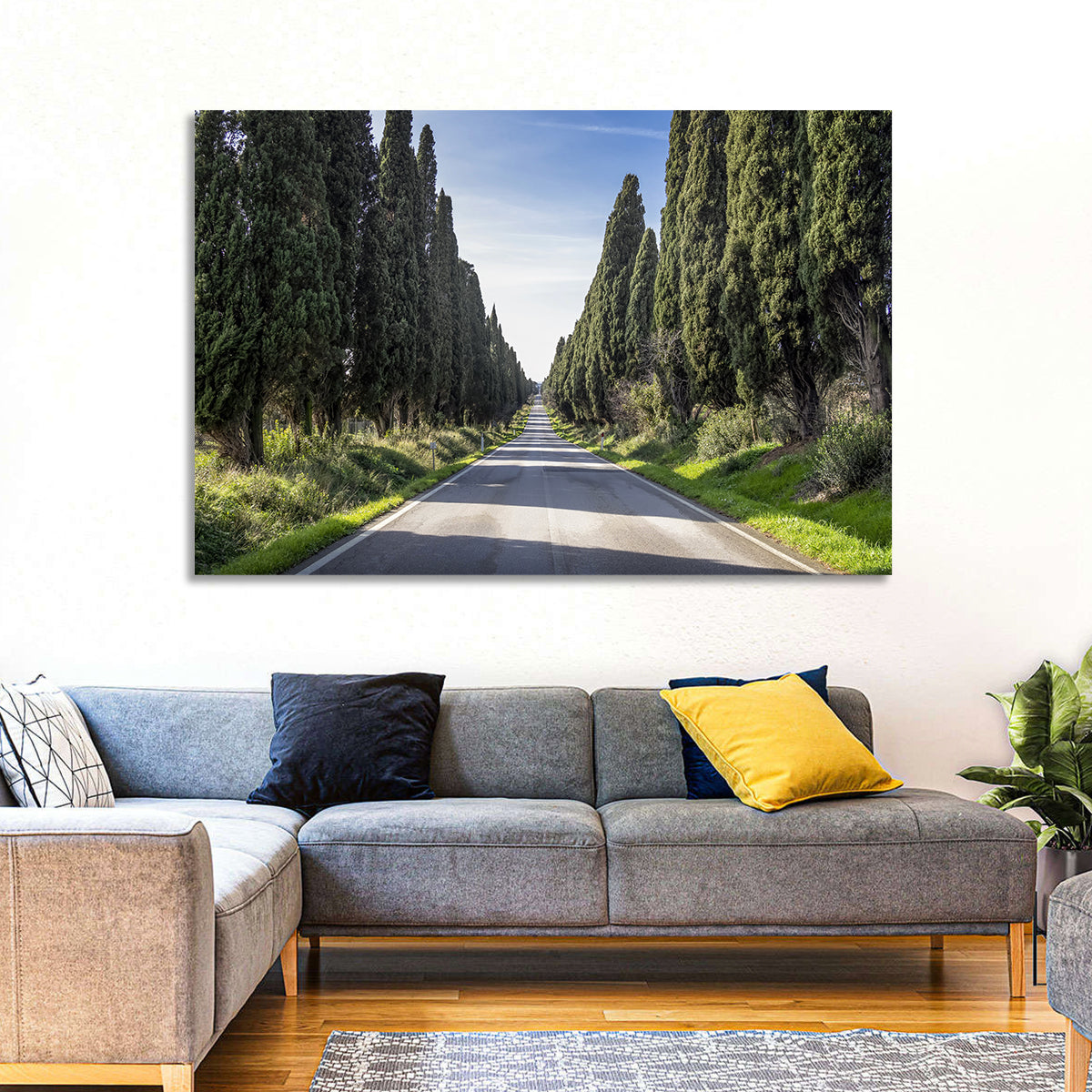 Avenue of Cypress Trees Wall Art in a room, landscape