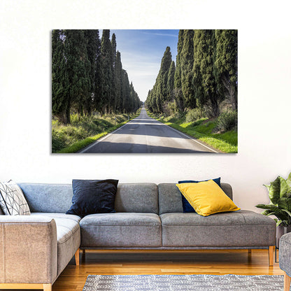 Cypress Trees Avenue Wall Art