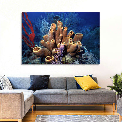 Belize Reef Sponge Scene Wall Art
