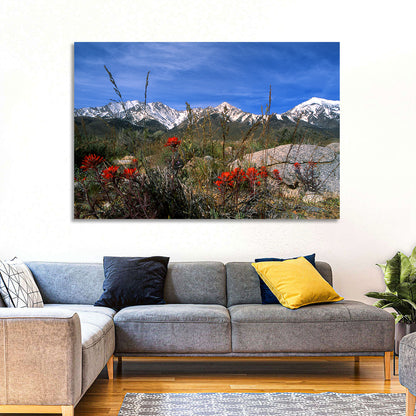 Sierra Nevada Wildflower Vista Wall Art