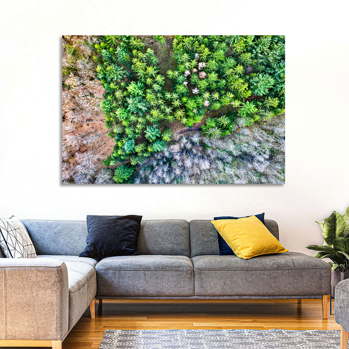 Vosges Mountains Wall Art in a room, landscape