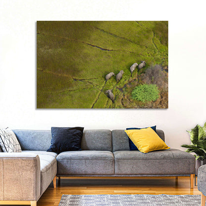 Aerial Herd of Elephants Wall Art