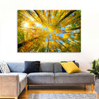 Golden Autumn Canopy Wall Art