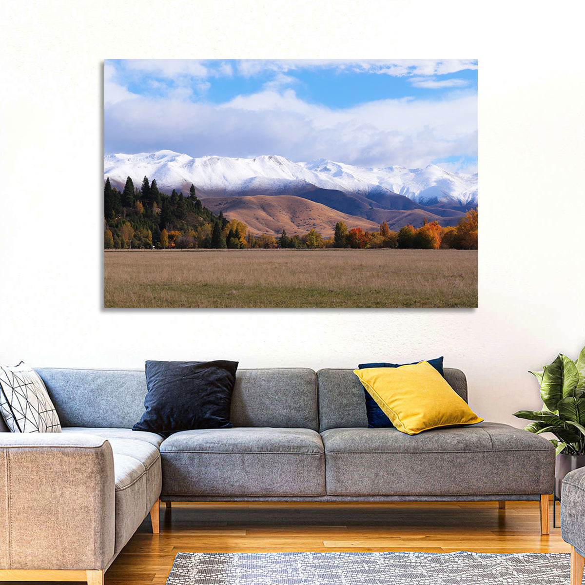 Ben Ohau Mountain Meadow Wall Art