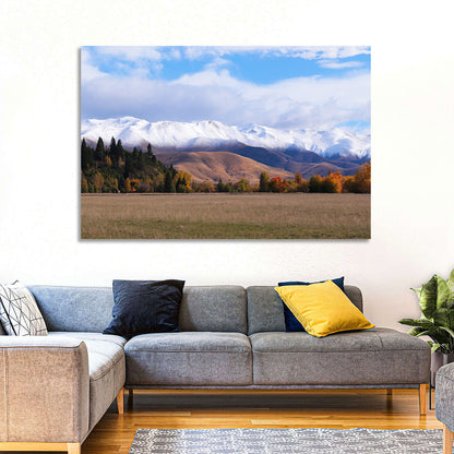Ben Ohau Mountain Meadow Wall Art