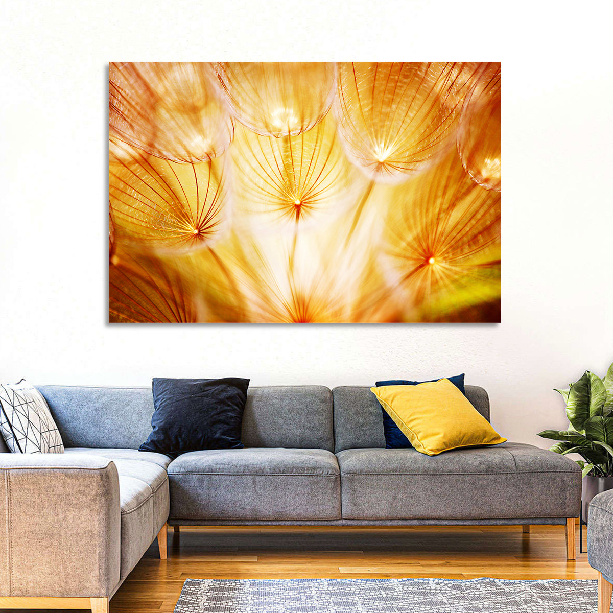 Golden Hour Dandelion Seed Macro Abstract Wall Art