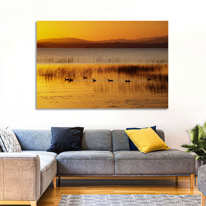 Lake Champlain Golden Sunrise Wall Art