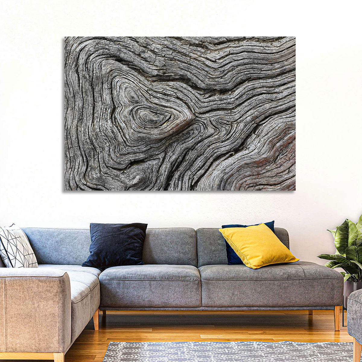 Tree Growth Rings Wall Art in a room, landscape