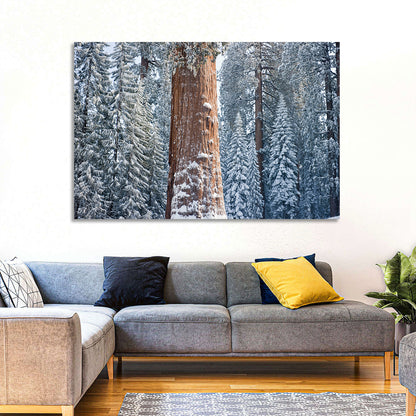 Winter Giant Sequoia in Snowy Forest Wall Art